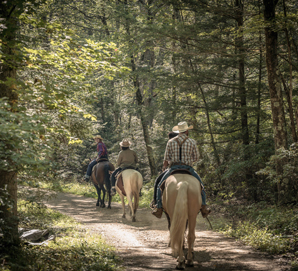 A group of visitors horseback riding in Shenandoah National Park